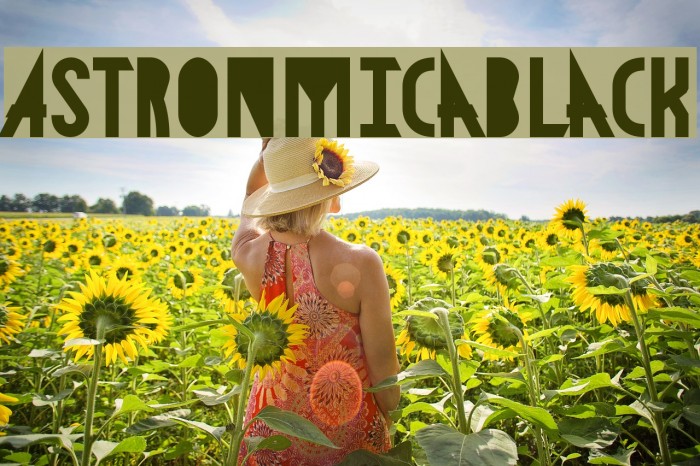 AstronmicaBlack Example 3