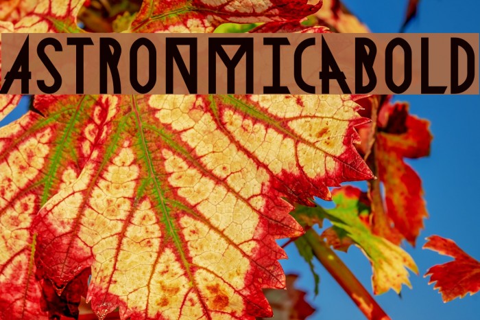 AstronmicaBold Font examples