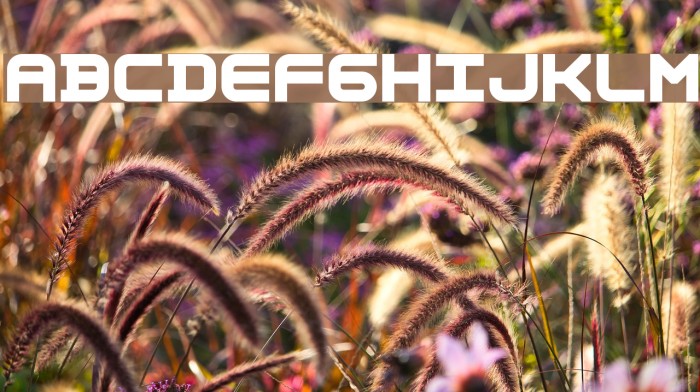 AstronomicMono Example 2