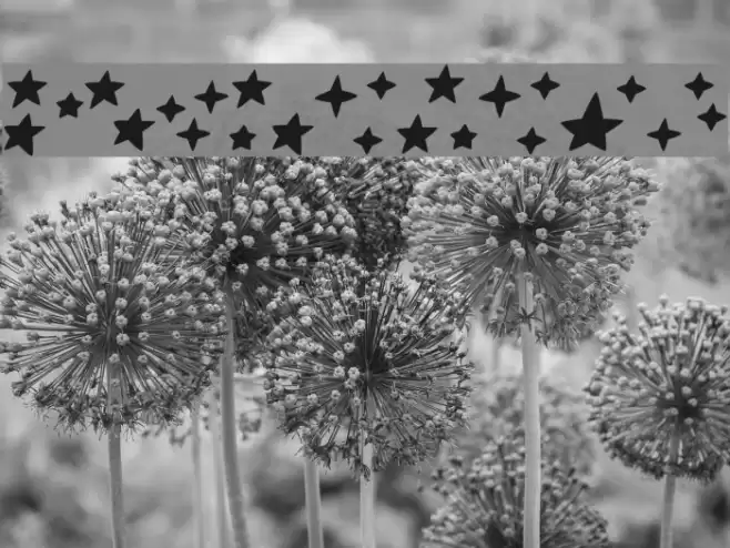 Astronomy Font examples