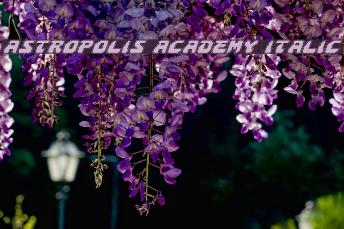 Astropolis Academy Italic Font examples