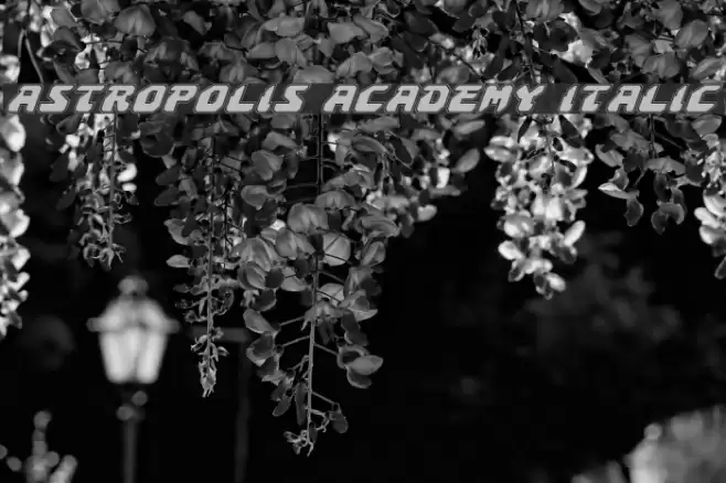 Astropolis Academy Italic フォント examples