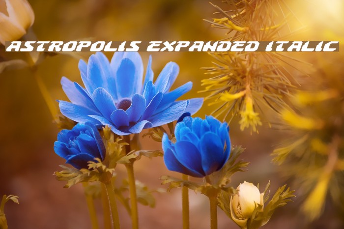 Astropolis Expanded Italic Font examples