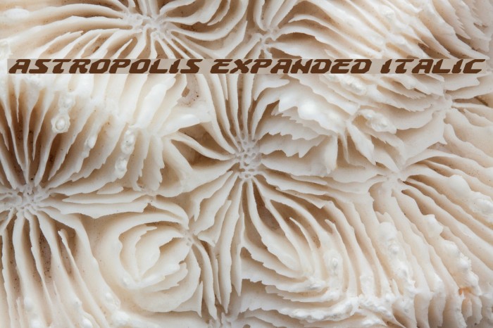 Astropolis Expanded Italic Font examples