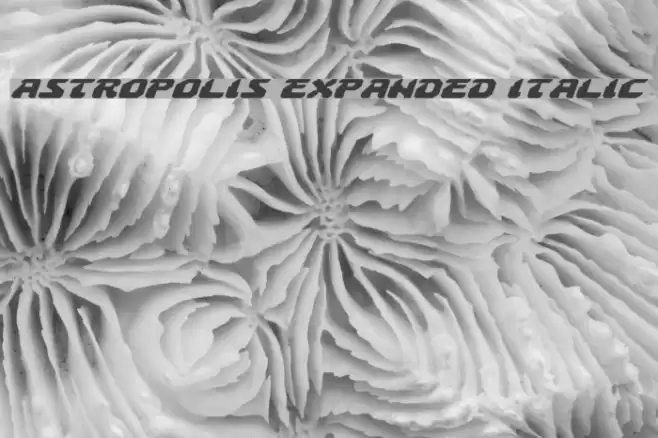 Astropolis Expanded Italic フォント examples