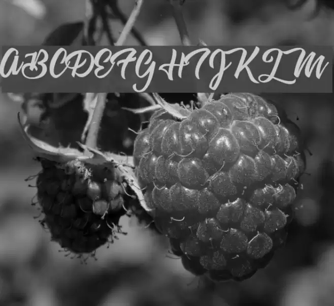 Astrovegan Personal Use  Font examples