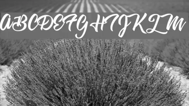 Astrovegan Personal Use  Font examples