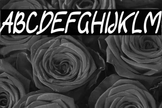 Astroy फ़ॉन्ट examples