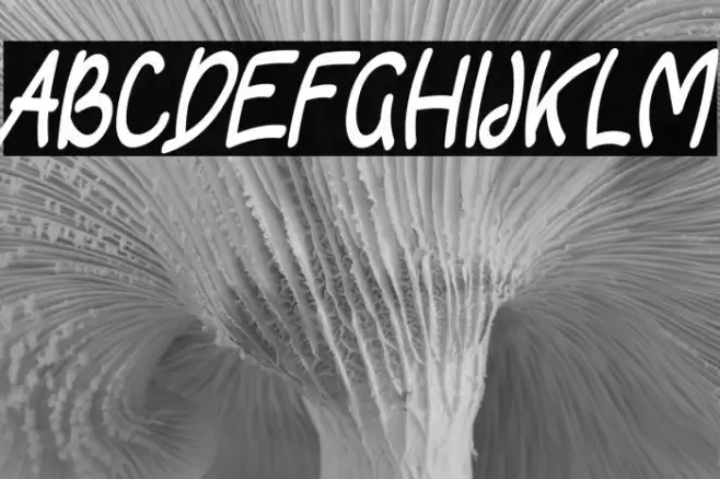 Astroy फ़ॉन्ट examples