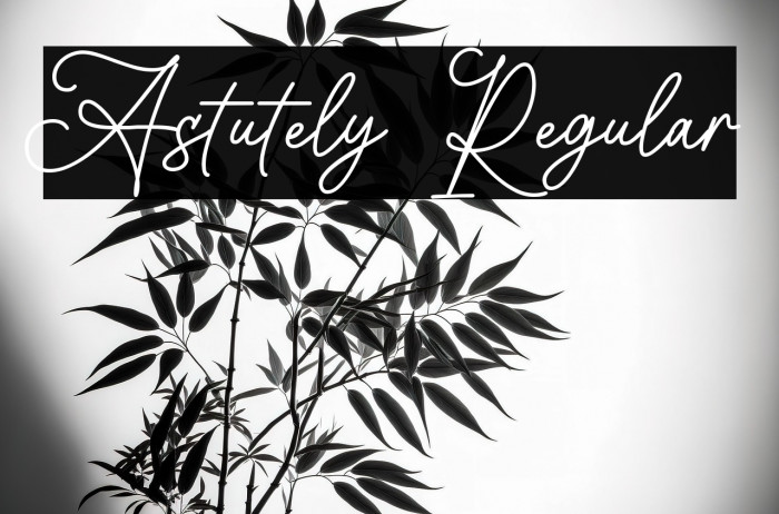 Astutely Regular Example 2