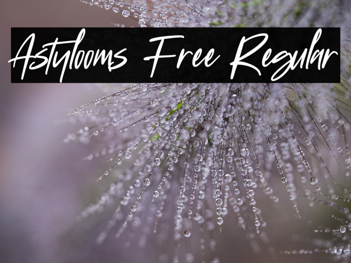 Astylooms Free Regular Example 1