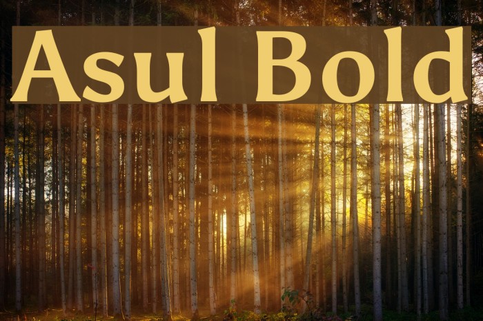 Asul Bold Font examples