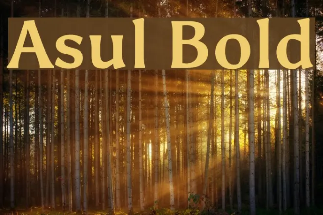 Asul Bold Example 2