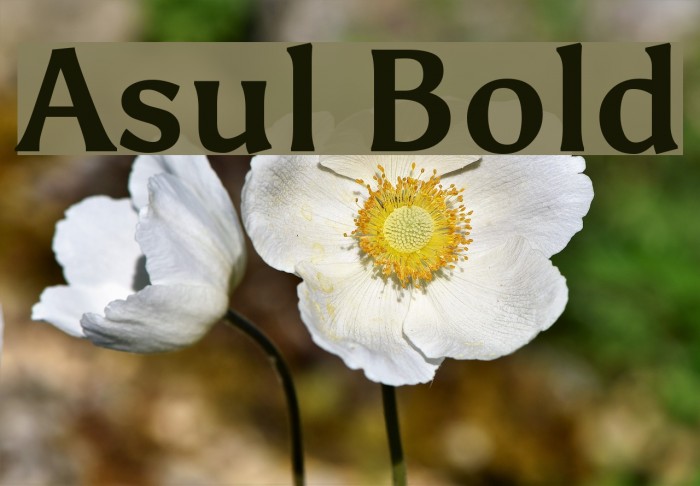 Asul Bold Font examples