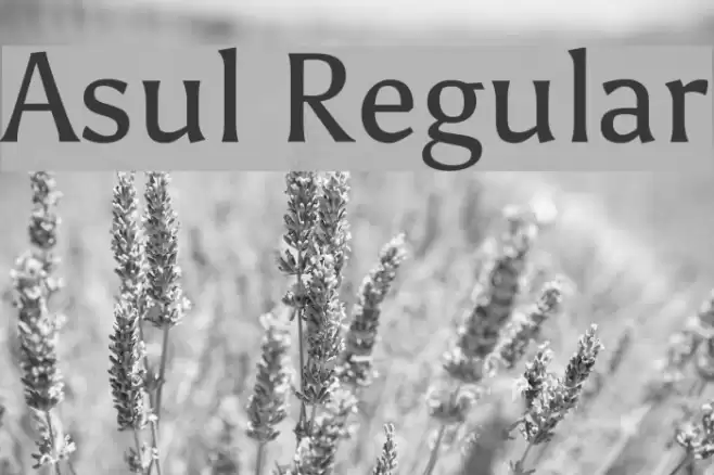 Asul Regular Font examples