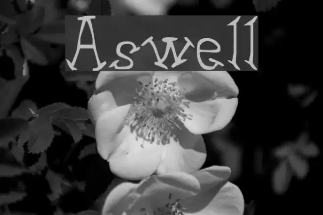 Aswell Font examples