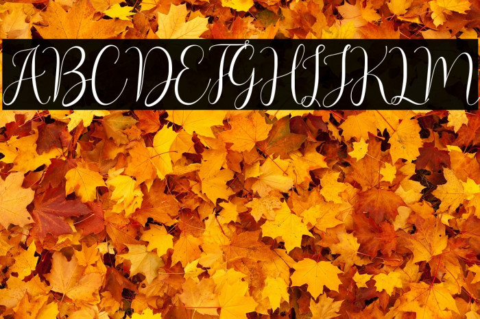 Asyiela Demo Regular Example 2