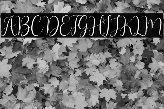 Asyiela Demo Regular Font examples