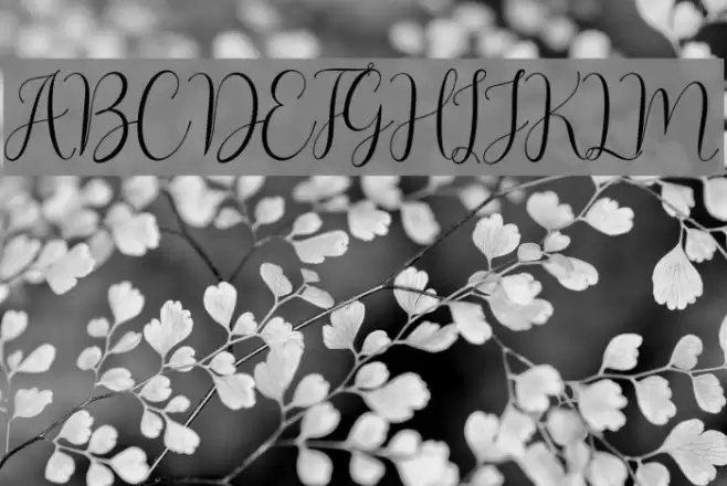 Asyiela Demo Regular Font examples