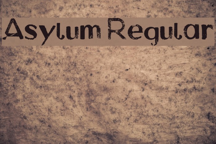 Asylum Regular Font examples