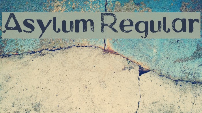 Asylum Regular Font examples