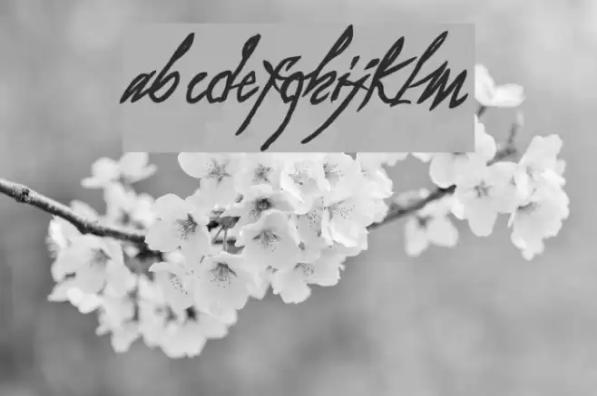 as i lay dying Font examples