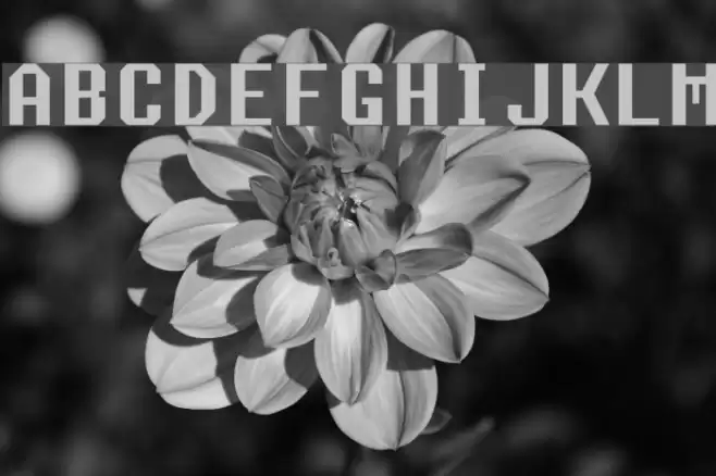 ascsys Font examples