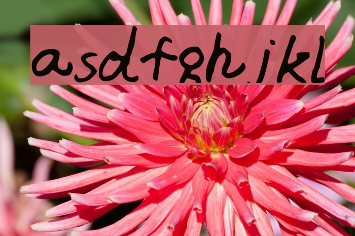 asdfghjkl Font examples