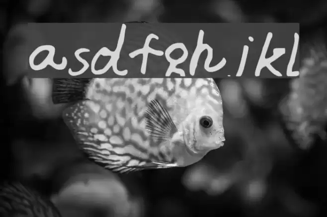 asdfghjkl Schriftart examples