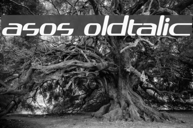 asos19101357 BoldItalic Font examples