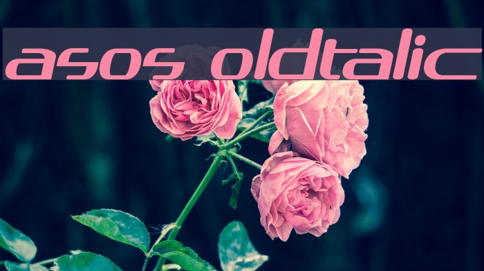 asos19101357 BoldItalic Fonte examples