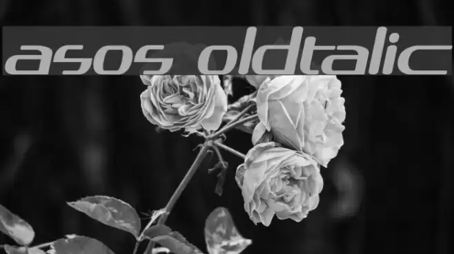 asos19101357 BoldItalic Font examples