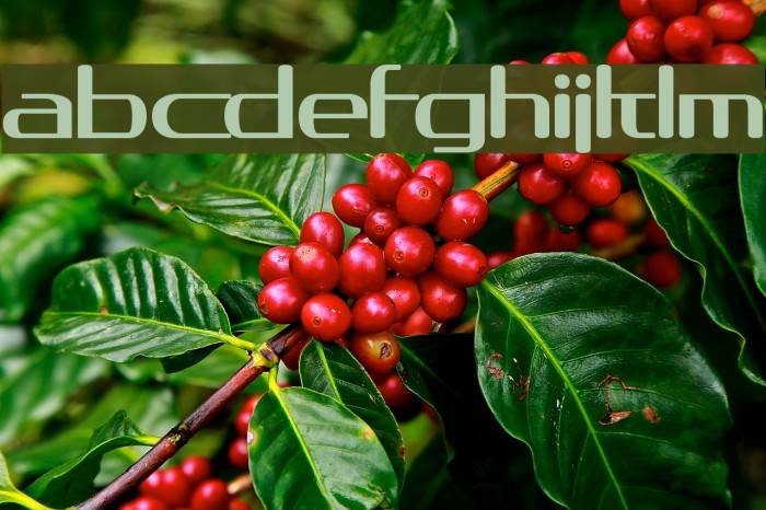 asos19101357 Example 2