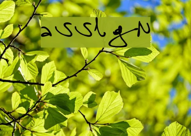 assign Example 3