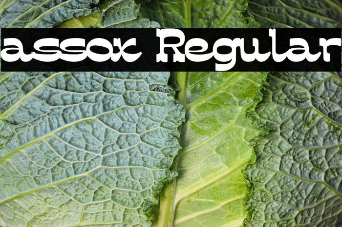 assox Regular Example 1