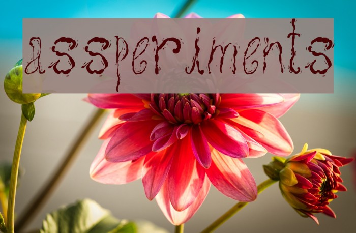 assperiments Example 1