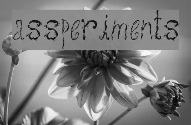 assperiments Font examples