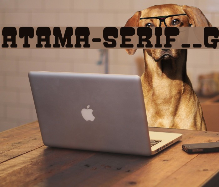 ATAMA-SERIF__G Font examples