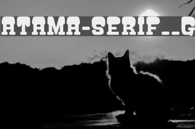 ATAMA-SERIF__G フォント examples