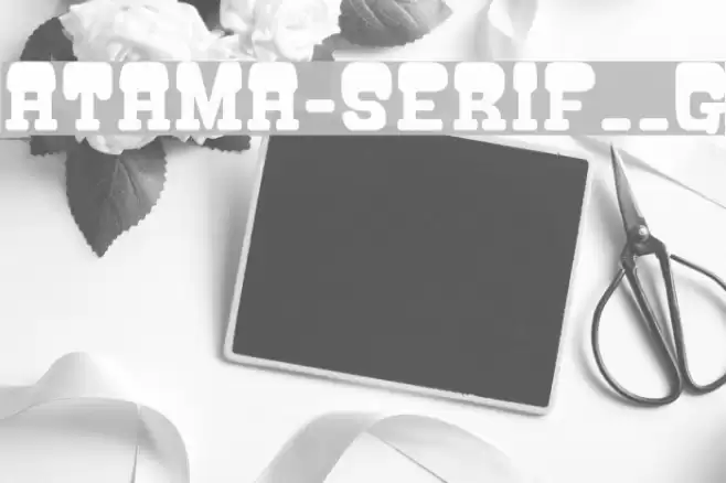 ATAMA-SERIF__G フォント examples