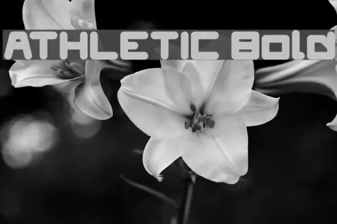 ATHLETIC Bold Example 1