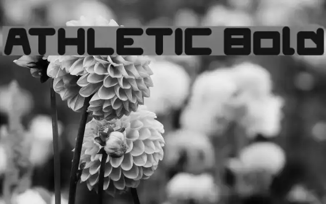 ATHLETIC Bold Example 2
