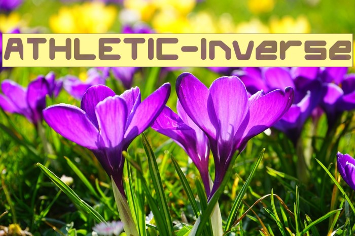 ATHLETIC-Inverse Font examples