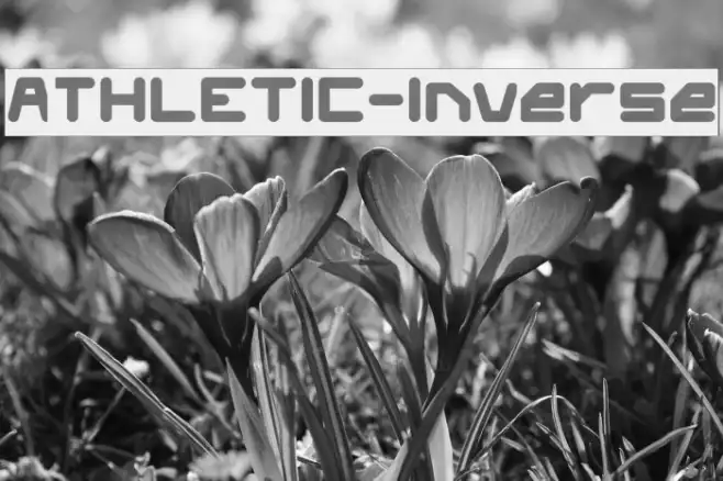 ATHLETIC-Inverse Example 2