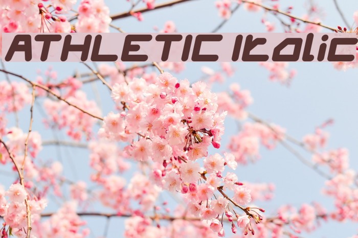 ATHLETIC Italic Font examples