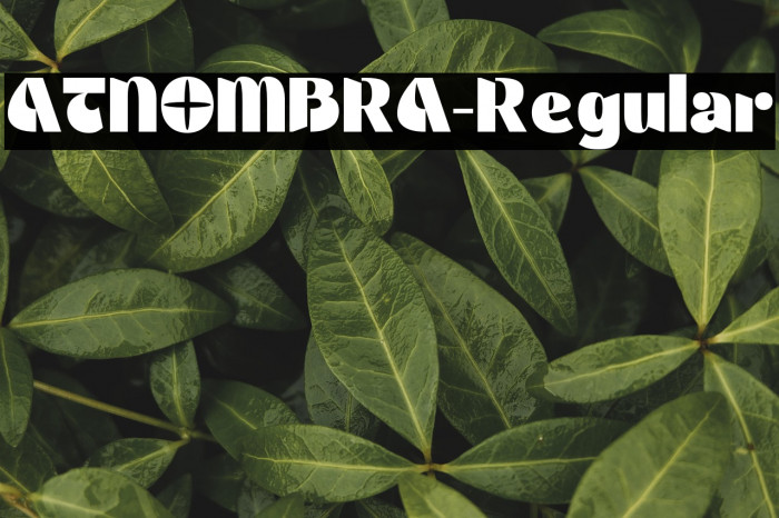 ATNOMBRA-Regular Example 2