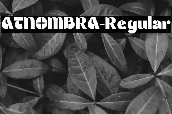 ATNOMBRA-Regular Example 2
