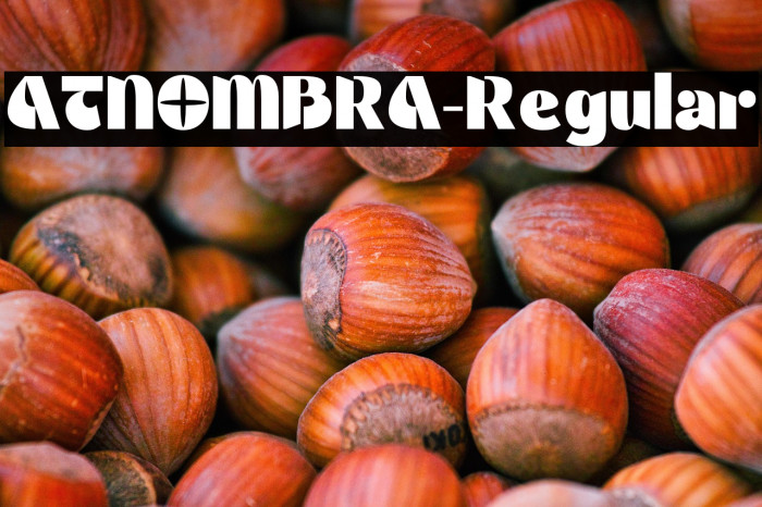 ATNOMBRA-Regular Example 3