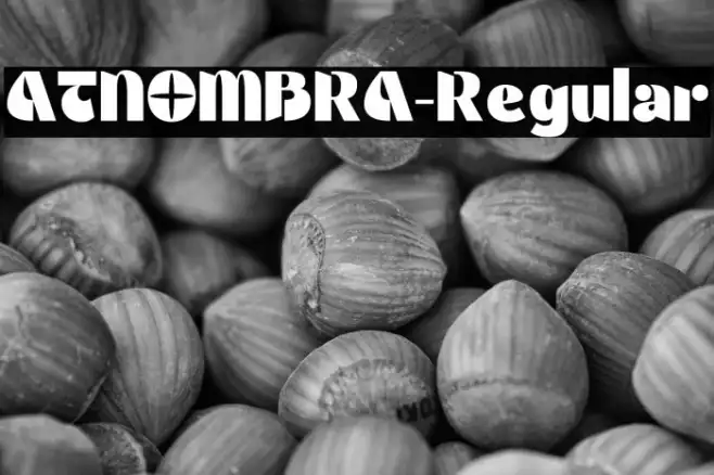 ATNOMBRA-Regular Example 3