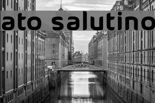 ATO Salutino Example 2